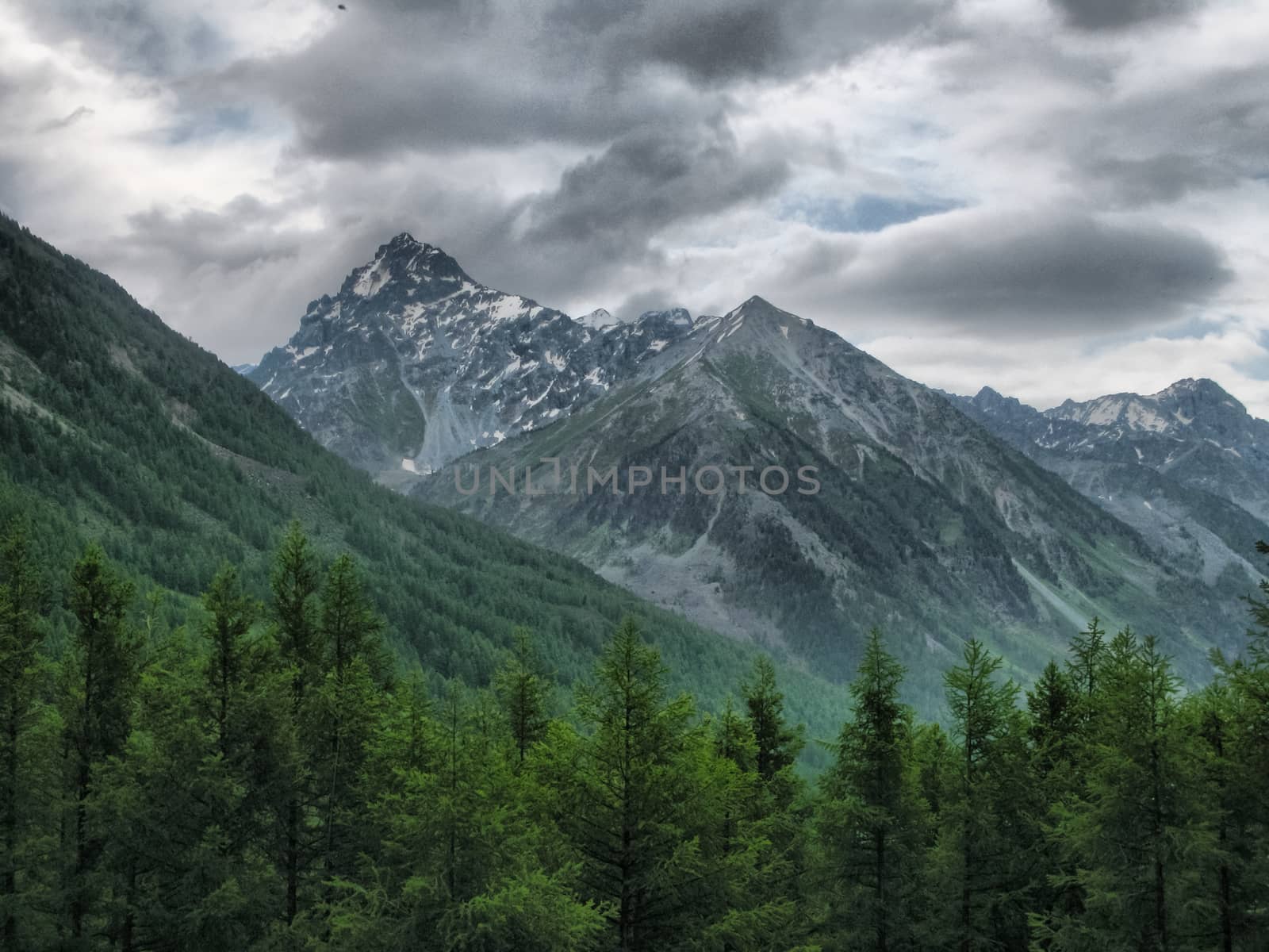 Nature is altai. Mountain landscape, forests and reservoirs of the altai.