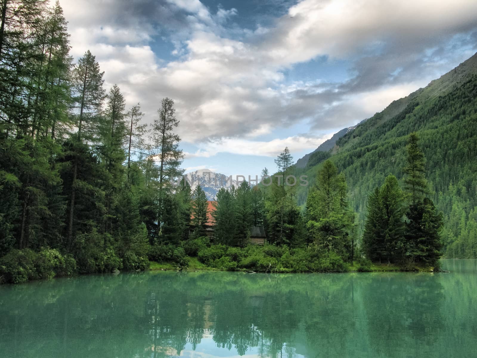 Nature is altai. Mountain landscape, forests and reservoirs of the altai.
