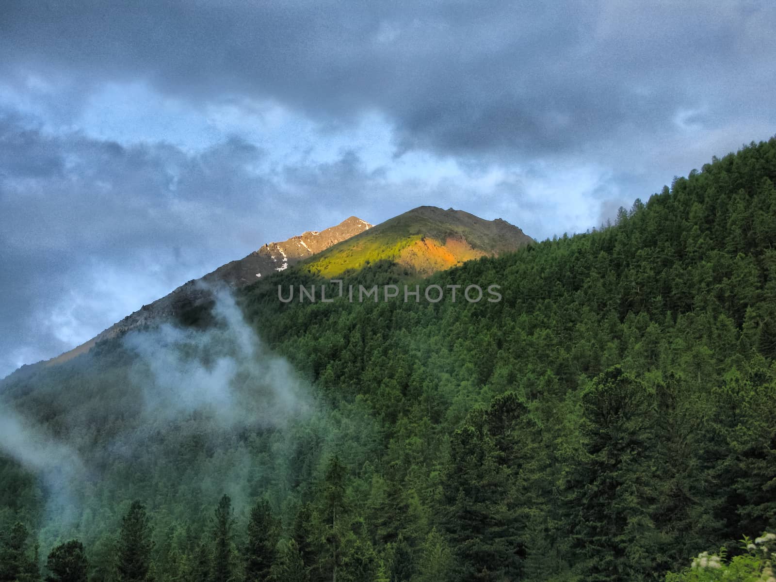 Nature is altai. Mountain landscape, forests and reservoirs of the altai.