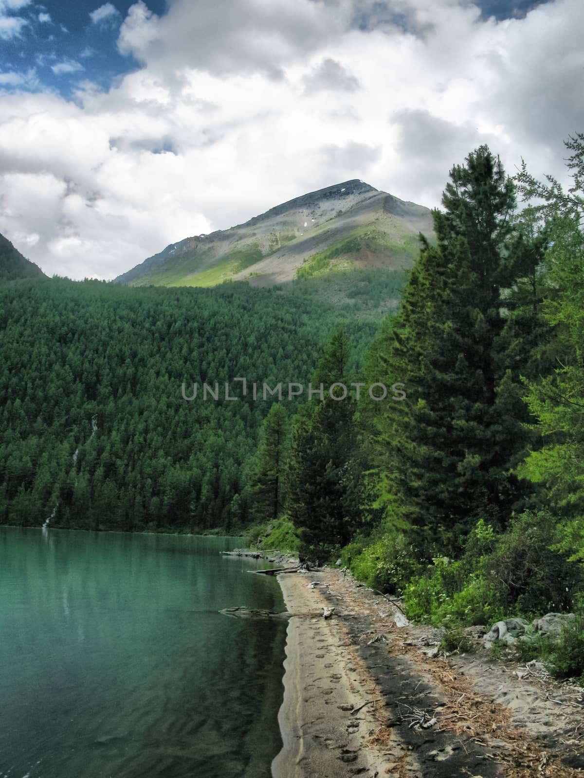 Nature is altai. Mountain landscape, forests and reservoirs of the altai.