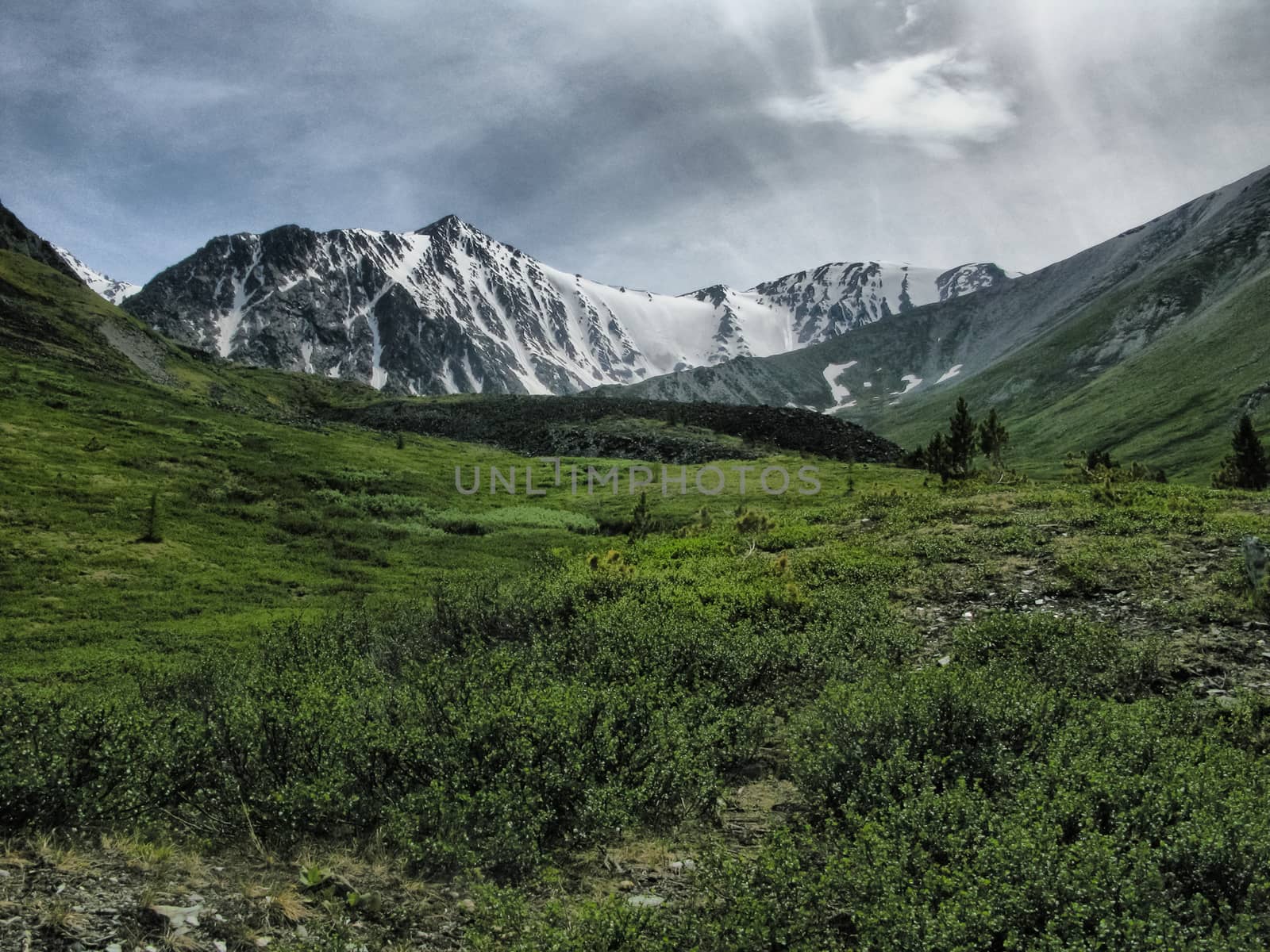 Nature is altai. Mountain landscape, forests and reservoirs of altai. by DePo