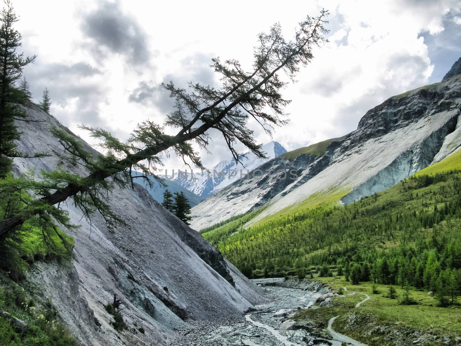 Nature is altai. Mountain landscape, forests and reservoirs of altai. by DePo