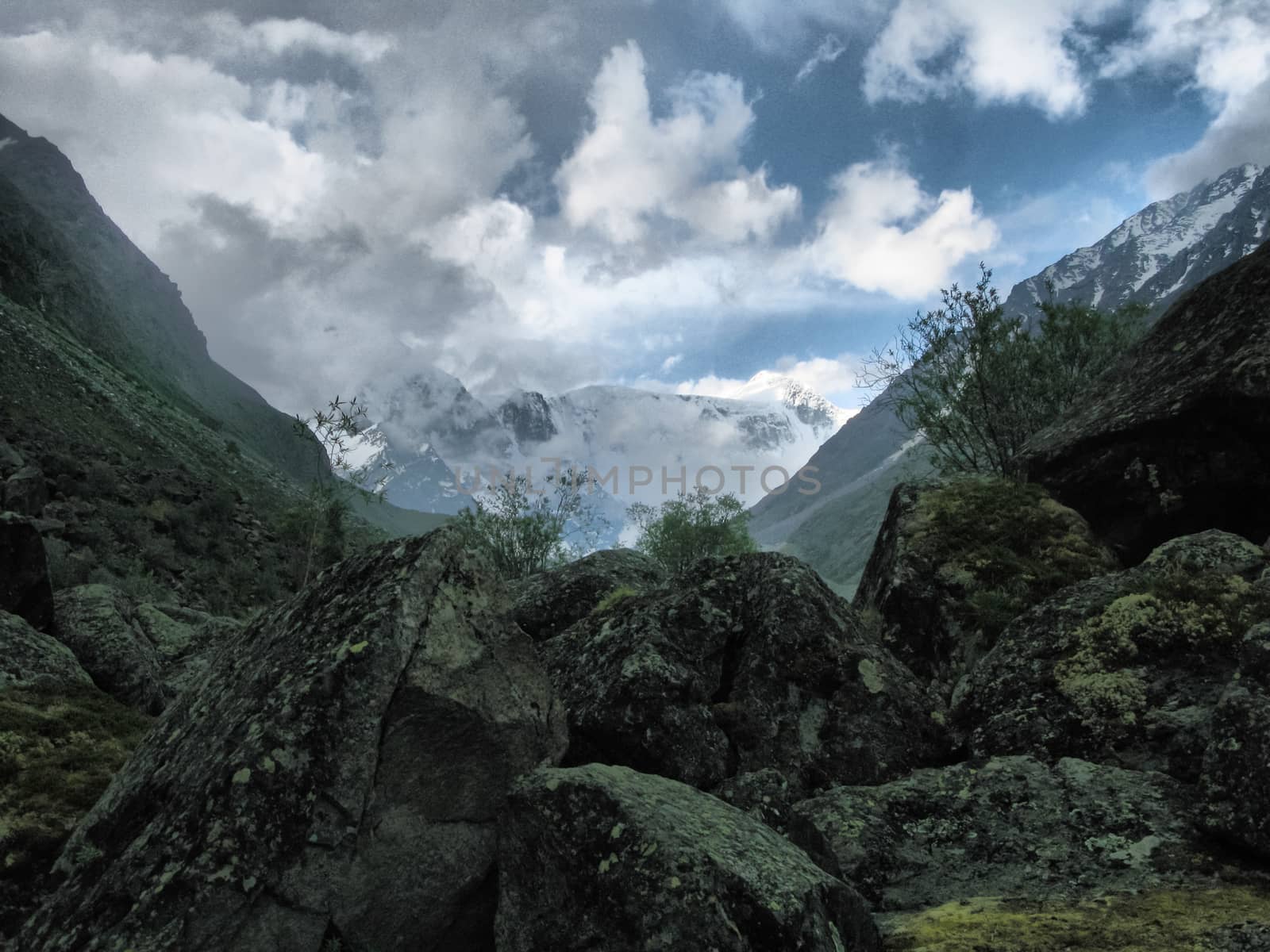 Nature is altai. Mountain landscape, forests and reservoirs of the altai.