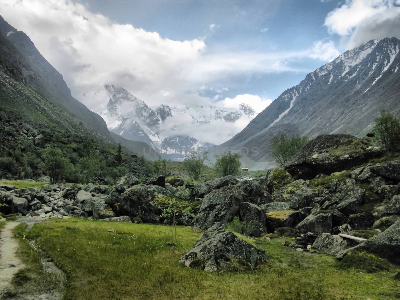 Nature is altai. Mountain landscape, forests and reservoirs of the altai.
