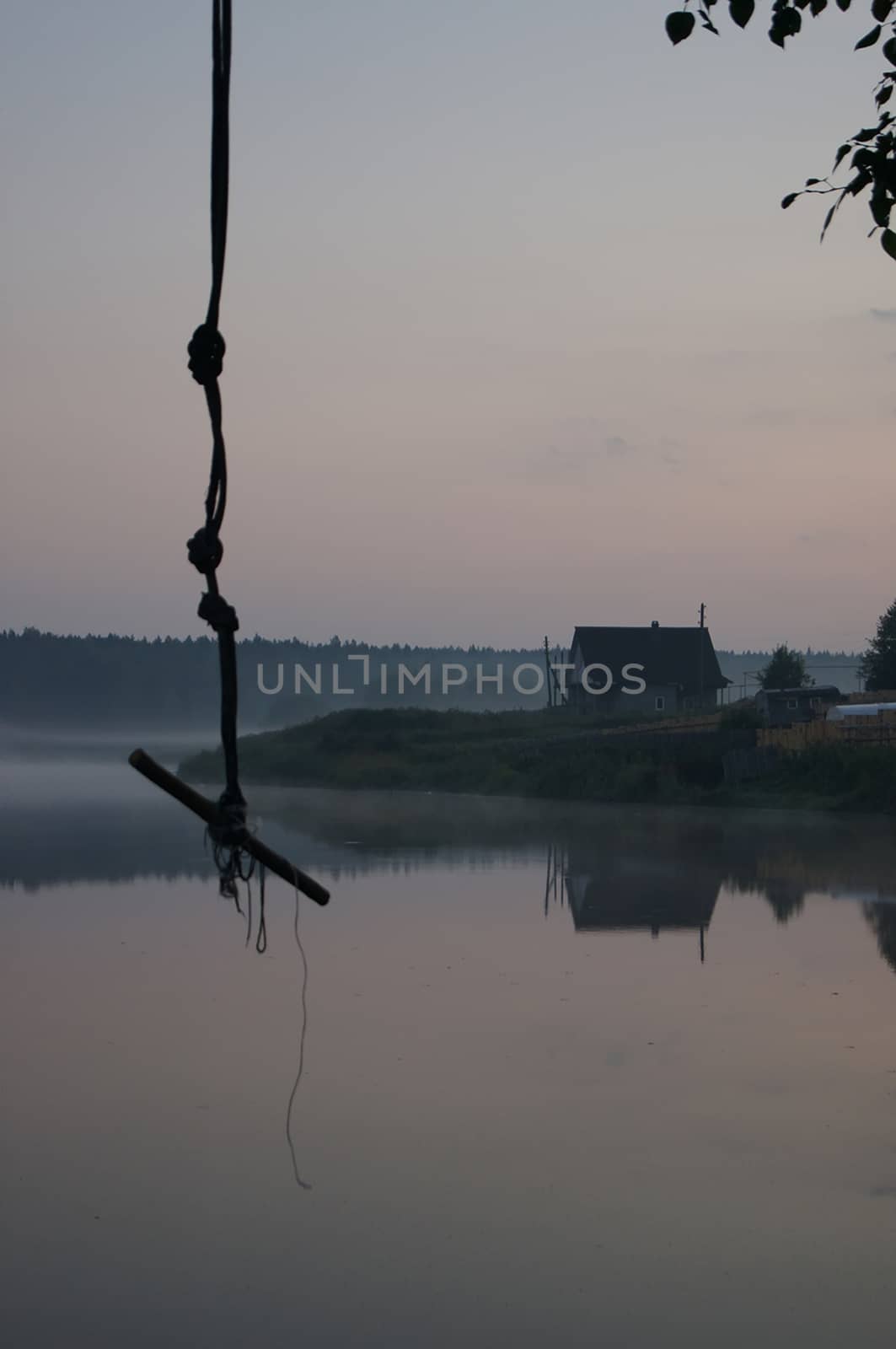 Rope for diving from a tree in the background of the lake.