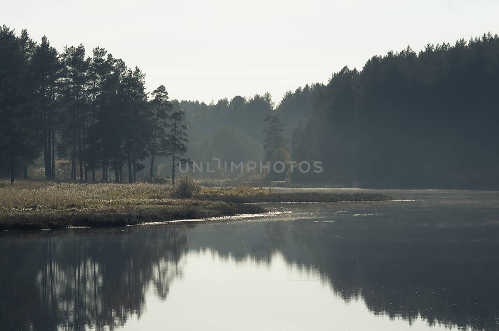 Water near forest. Reflecting trees in the water. by DePo