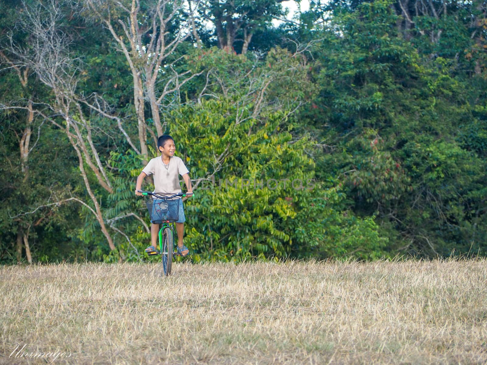 Boy riding a bicycle In the national park