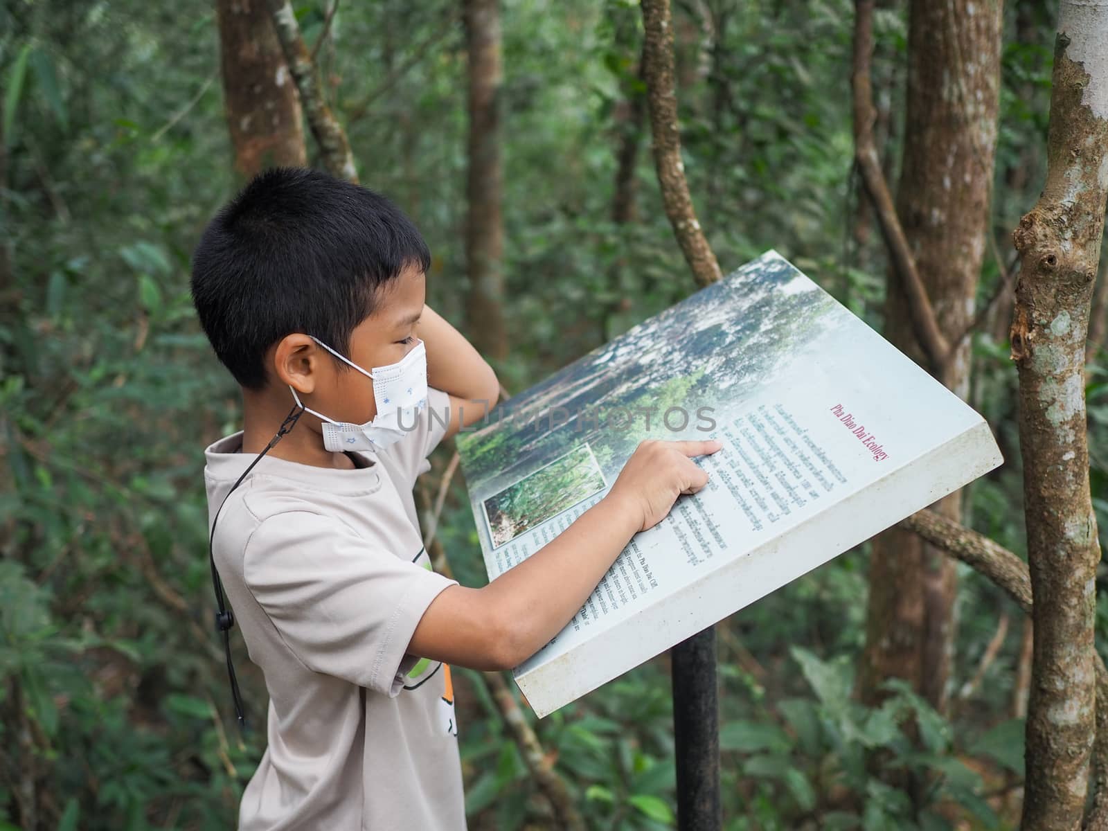 A boy standing and reading a tourist attraction In the national park