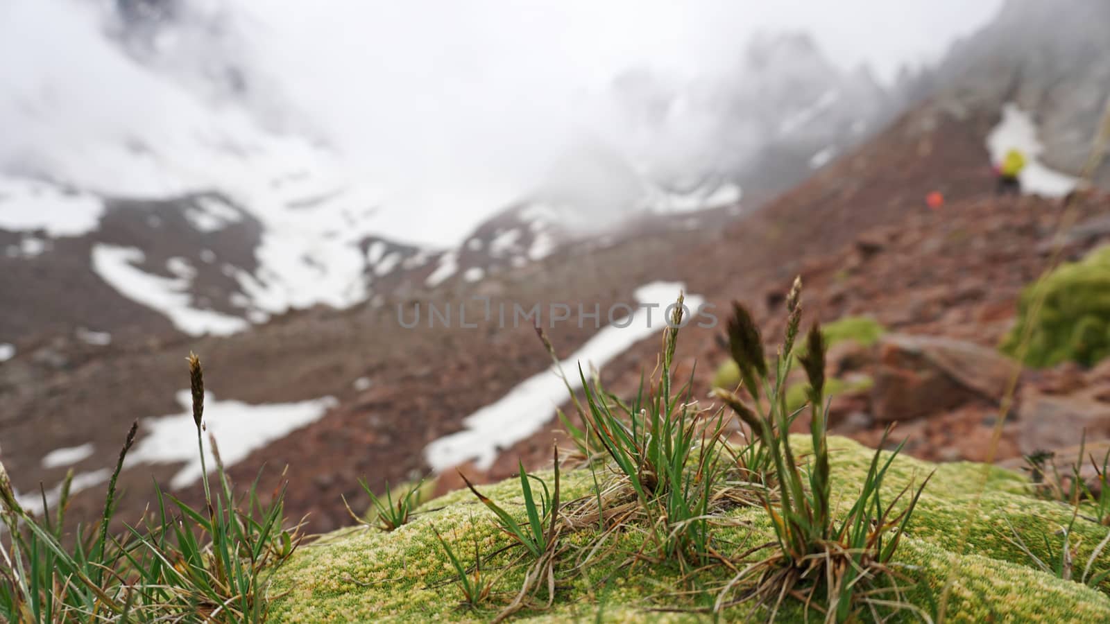 Huge clouds in snowy mountains and green moss. Moss and green grass grow on the rocks. In the fog are climbers. Large rocks and stones. Outdoor activity. Extreme Hiking among clouds and snow peaks.