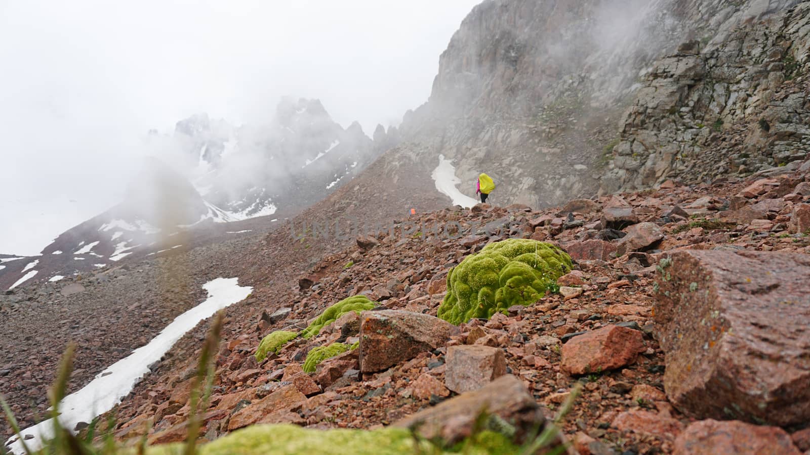 Huge clouds in snowy mountains and green moss. Moss and green grass grow on the rocks. In the fog are climbers. Large rocks and stones. Outdoor activity. Extreme Hiking among clouds and snow peaks.