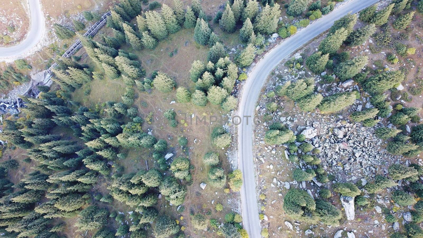 The car is driving on road in the forest. Top view from a drone. Mountainous terrain, steep slopes and turns. Autumn landscape. Yellow-green grass, green firs, hills and rocks. Shadows from the trees