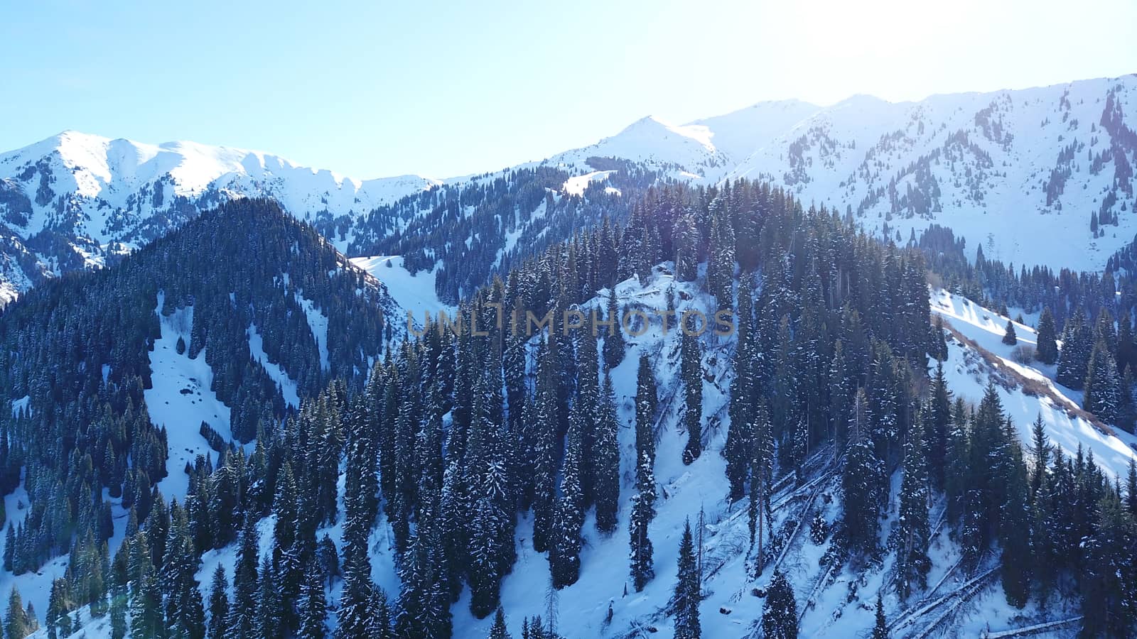 Winter forest high in the mountains. Top view from the throne of the snowy mountains and hills. Fir trees and trees grow on the hills. Some trees are covered with snow. The shadow of the trees.