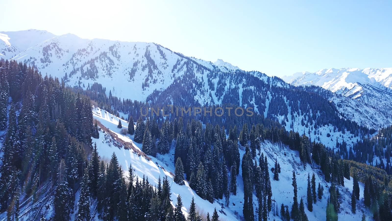 Winter forest high in the mountains. Top view from the throne of the snowy mountains and hills. Fir trees and trees grow on the hills. Some trees are covered with snow. The shadow of the trees.