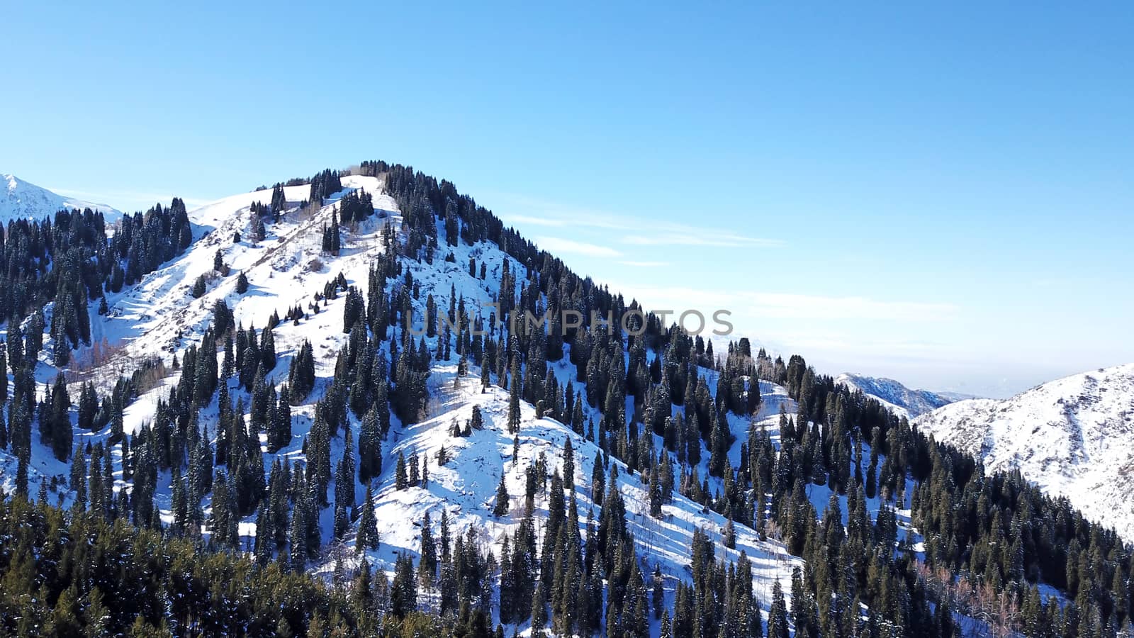 Winter forest high in the mountains. Top view from the throne of the snowy mountains and hills. Fir trees and trees grow on the hills. Some trees are covered with snow. The shadow of the trees.