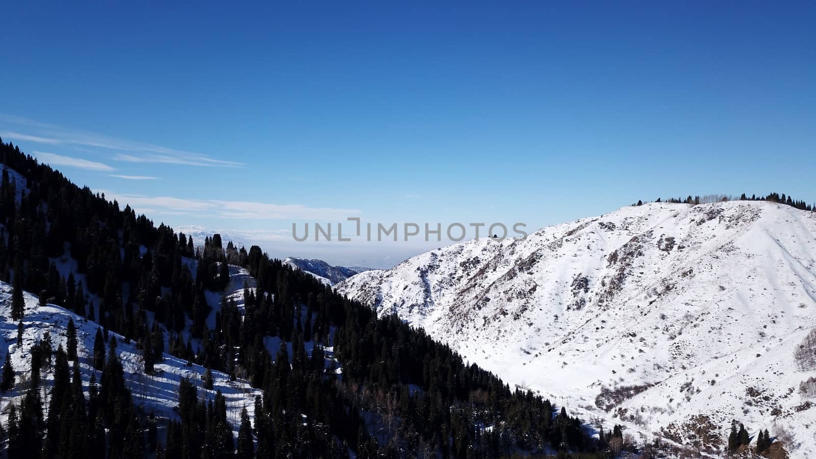 Winter forest high in the mountains. Top view from the throne of the snowy mountains and hills. Fir trees and trees grow on the hills. Some trees are covered with snow. The shadow of the trees.