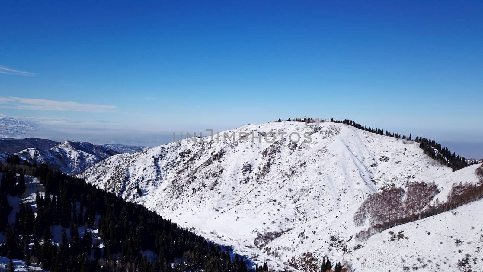 Winter forest high in the mountains. Top view from the throne of the snowy mountains and hills. Fir trees and trees grow on the hills. Some trees are covered with snow. The shadow of the trees.