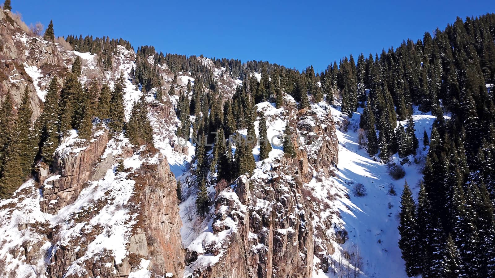 Winter forest high in the mountains. Top view from the throne of the snowy mountains and hills. Fir trees and trees grow on the hills. Some trees are covered with snow. The shadow of the trees.