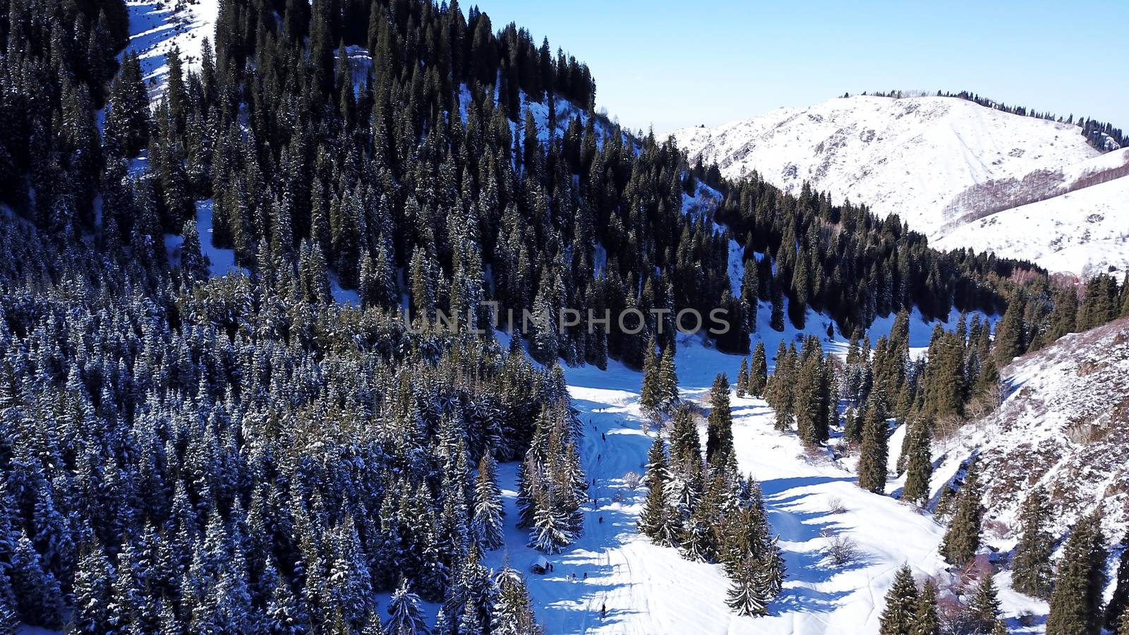 Active recreation of people in the mountains. Top view from the throne. A group of people walking along a trail in a snowy forest in the mountains. The trees cast shadows on the snow. Sunny day.