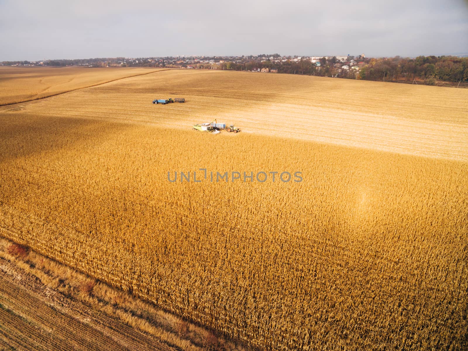 Harvesting Corn in the Green Field. Aerial photography over Automated Combines