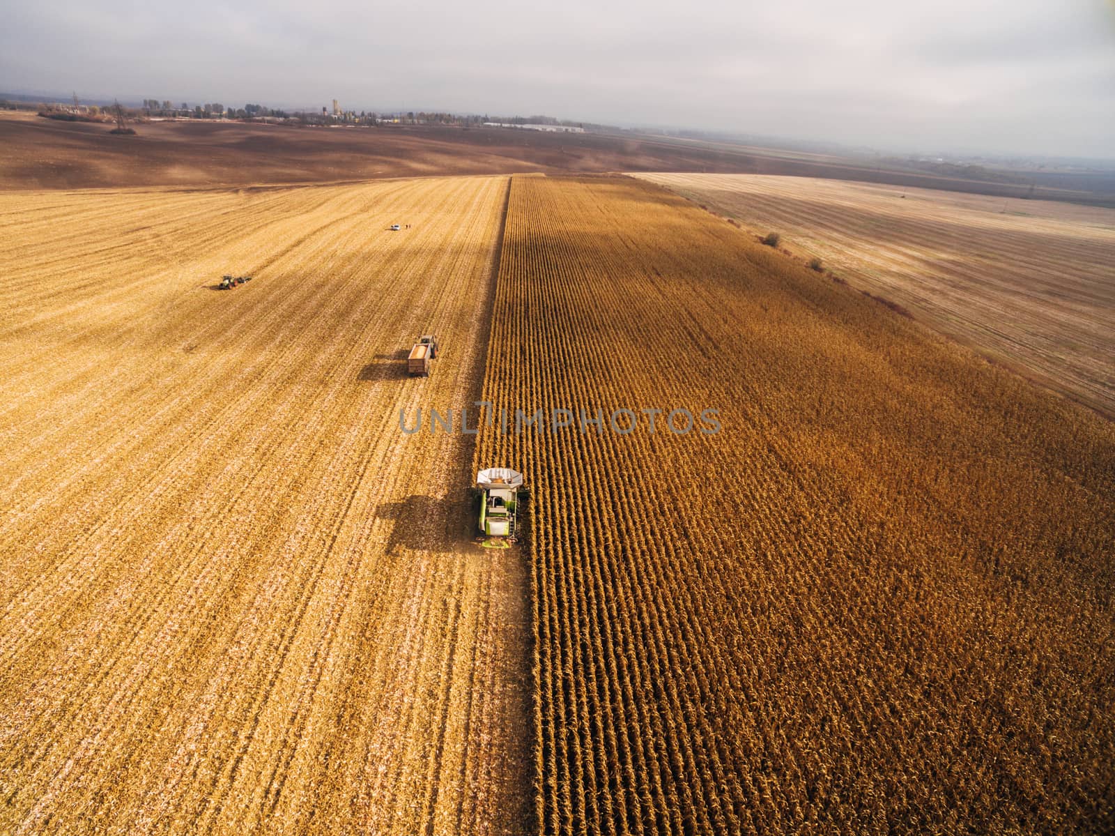Harvesting Corn in the Green Big Field. Aerial View over Automated Combines by TrEKone