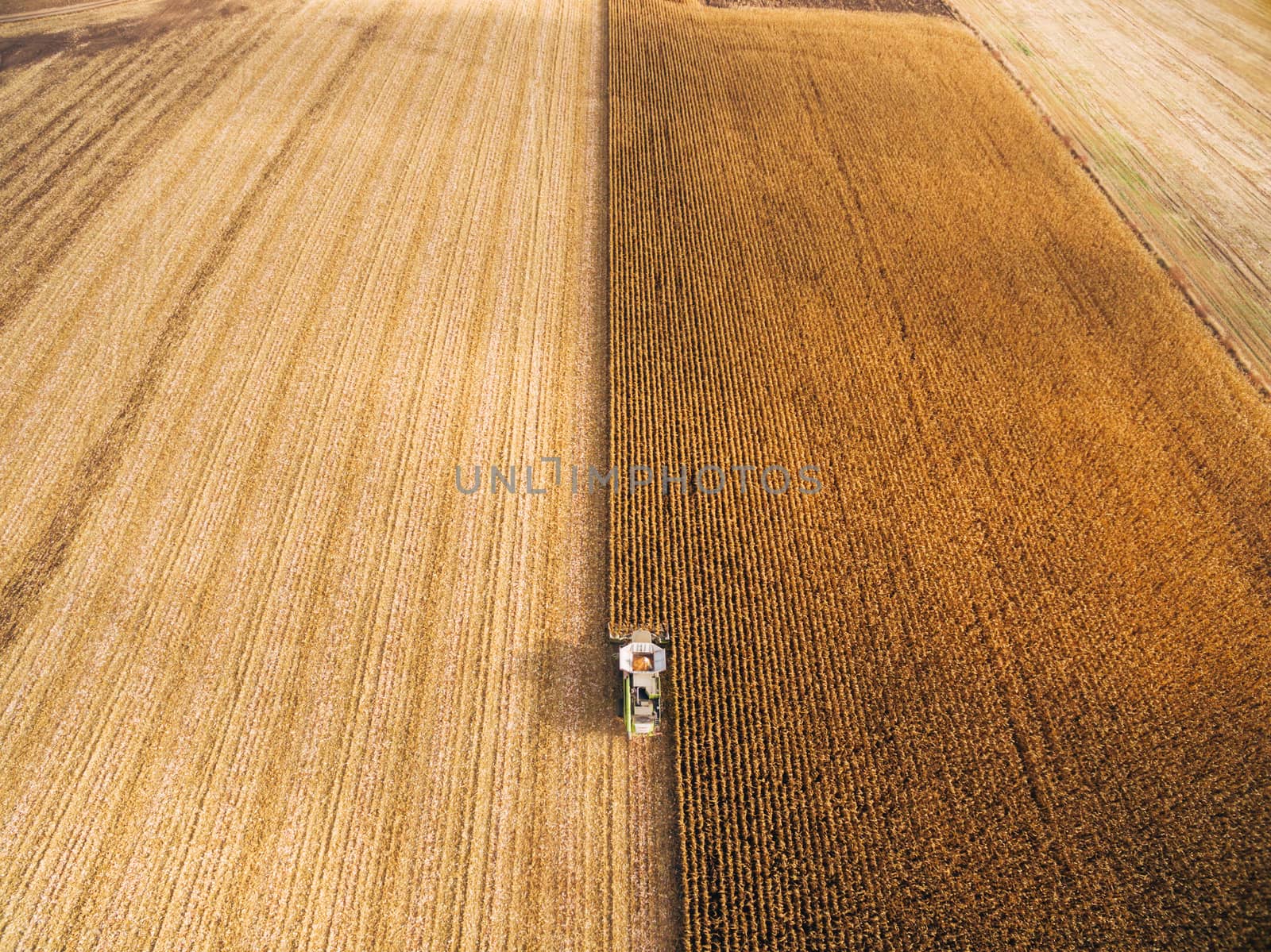 Harvesting Corn in the Green Big Field. Aerial View over Automated Combines by TrEKone