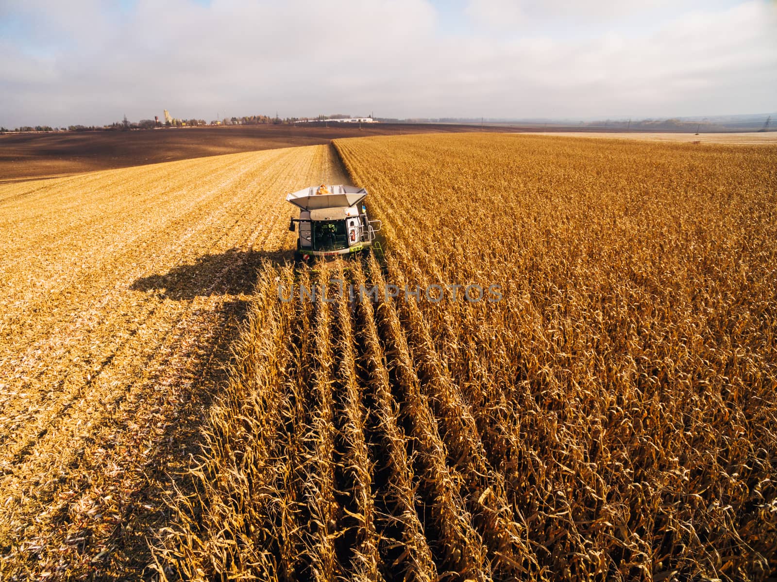 Harvesting Corn in the Green Big Field. Aerial View over Automated Combines by TrEKone