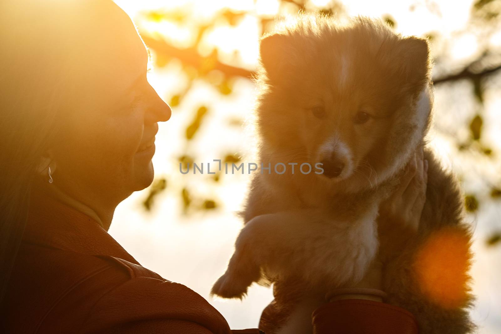 Happy girl with sheltie puppy in the park. by 9parusnikov