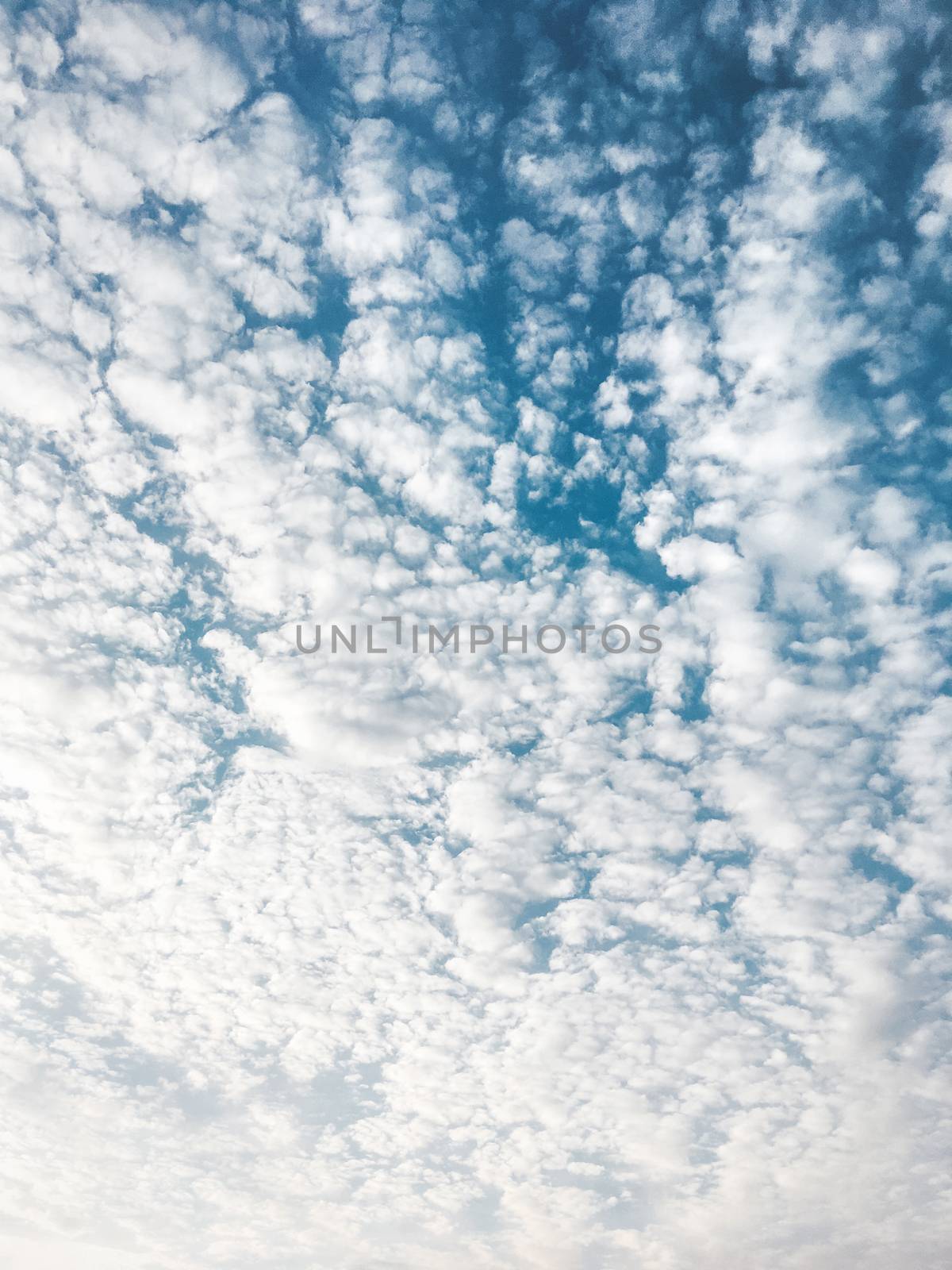 Cloudscape on blue sky. Outdoors abstract background with clouds.