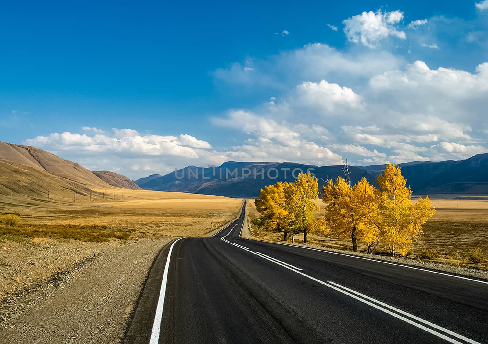 Asphalt road to the mountains. Mountain track on the Altai.