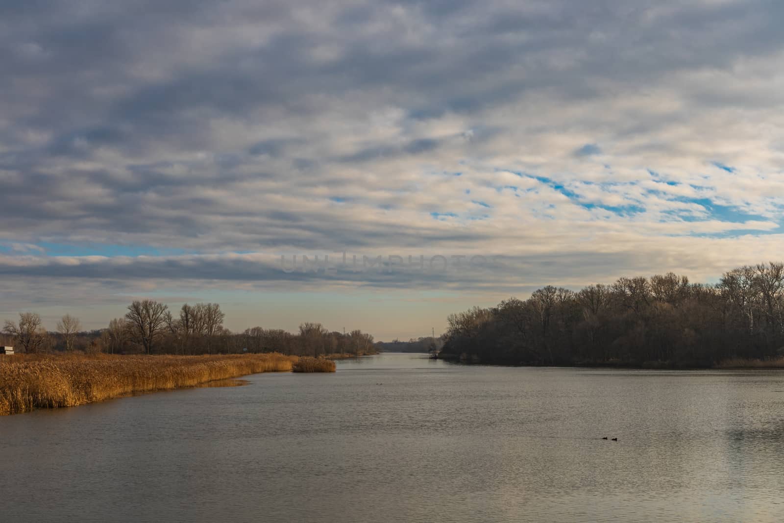 Cloudy landscape over Odra river with yellow coast and trees around by Wierzchu