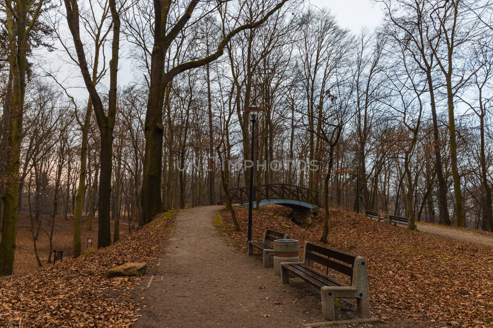 Pathway in park to small wooden bridge with lanterns and benches around by Wierzchu