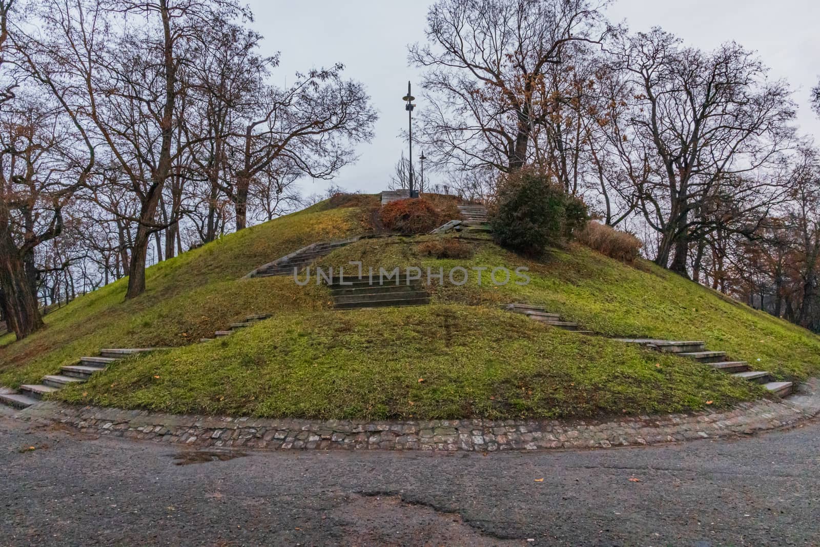 Green grass and bushes over small hill in park with stairs around by Wierzchu