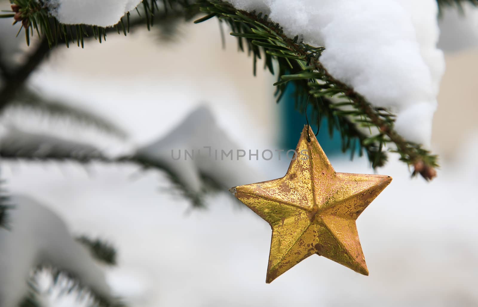 Golden star Christmas decoration on an outdoor fir tree