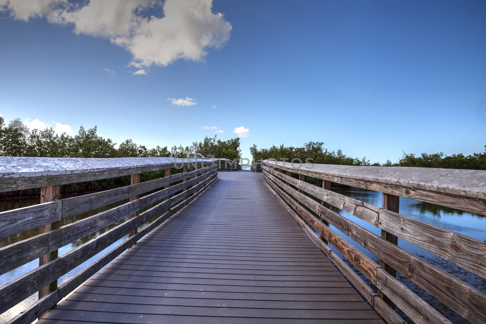 Boardwalk leading to Lovers Key State Park on a sunny day in For by steffstarr