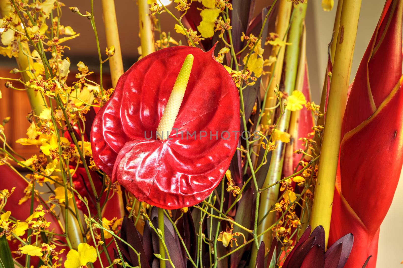 Tropical bouquet of flowers including Heliconia bihai, yellow on by steffstarr