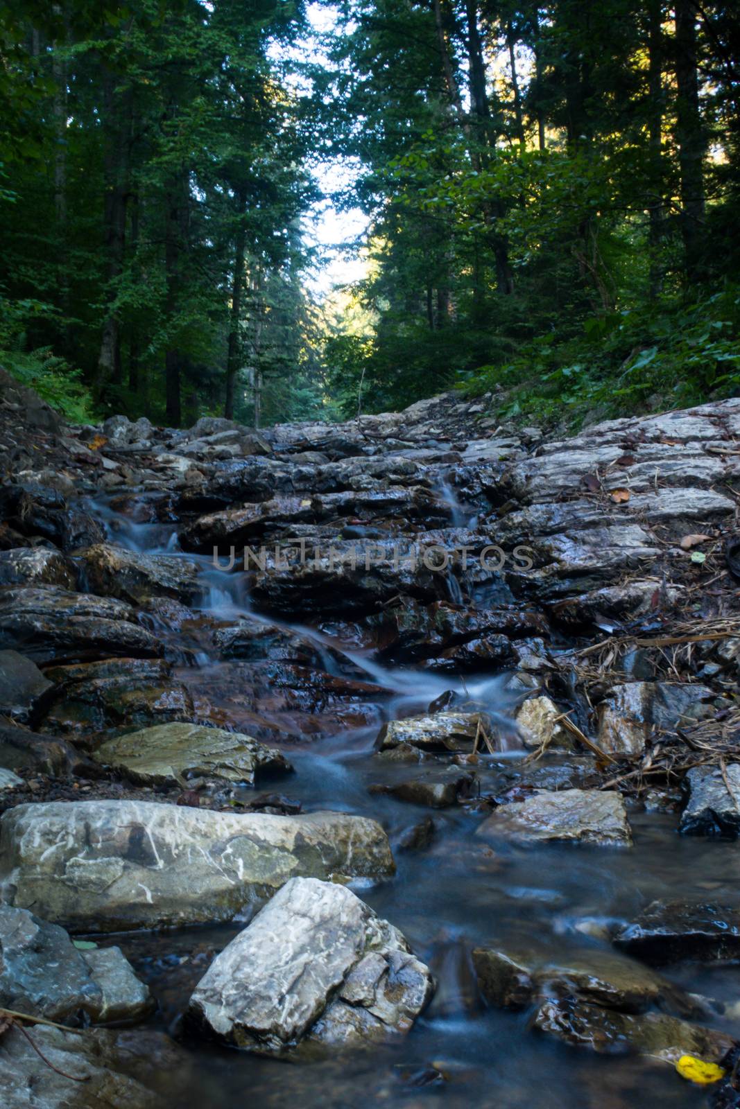 Mountain river flows between picturesque summer stones. Rocks in the mountains with water flowing