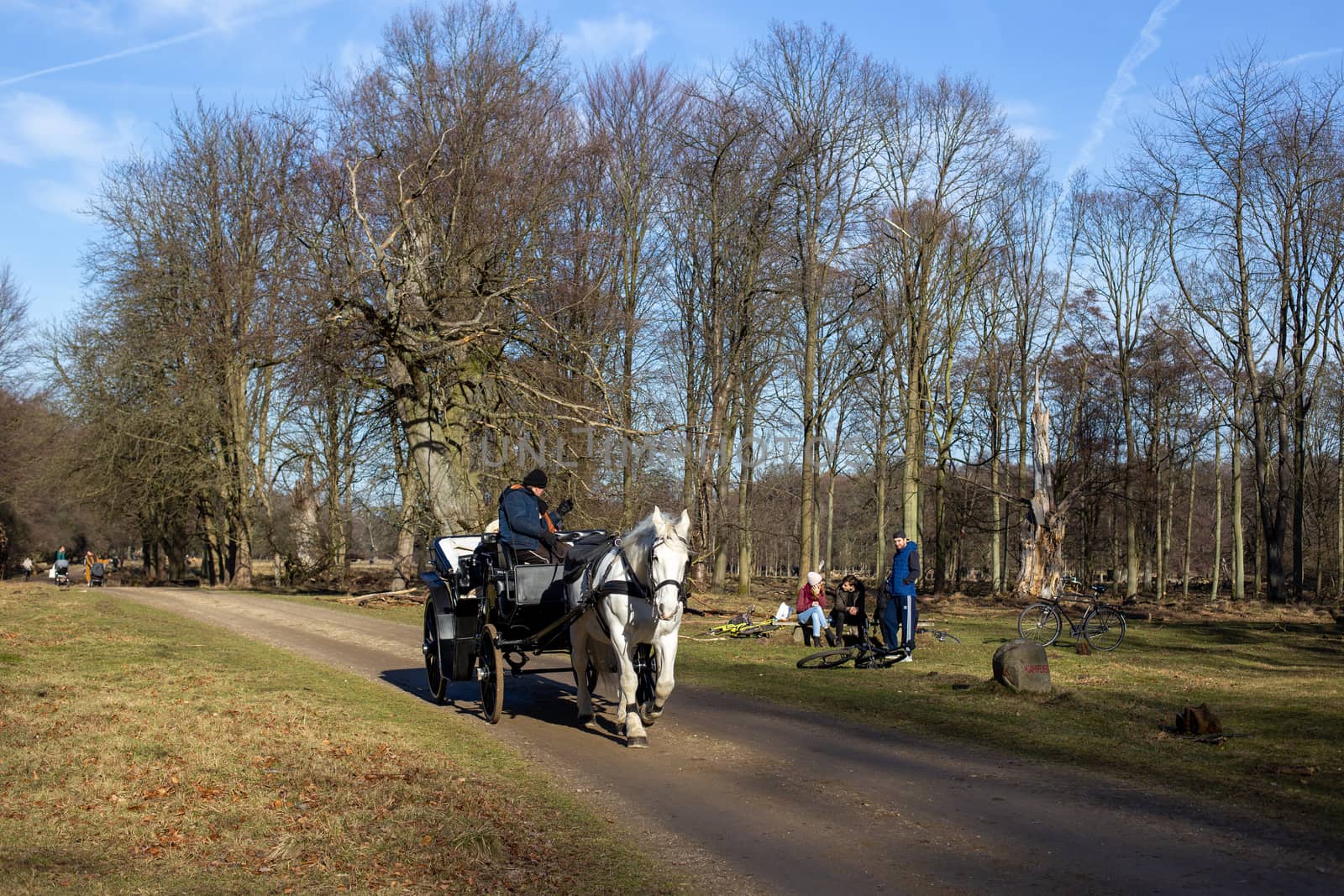 Horse-drawn carriage in Dyrehaven in Copenhagen by oliverfoerstner