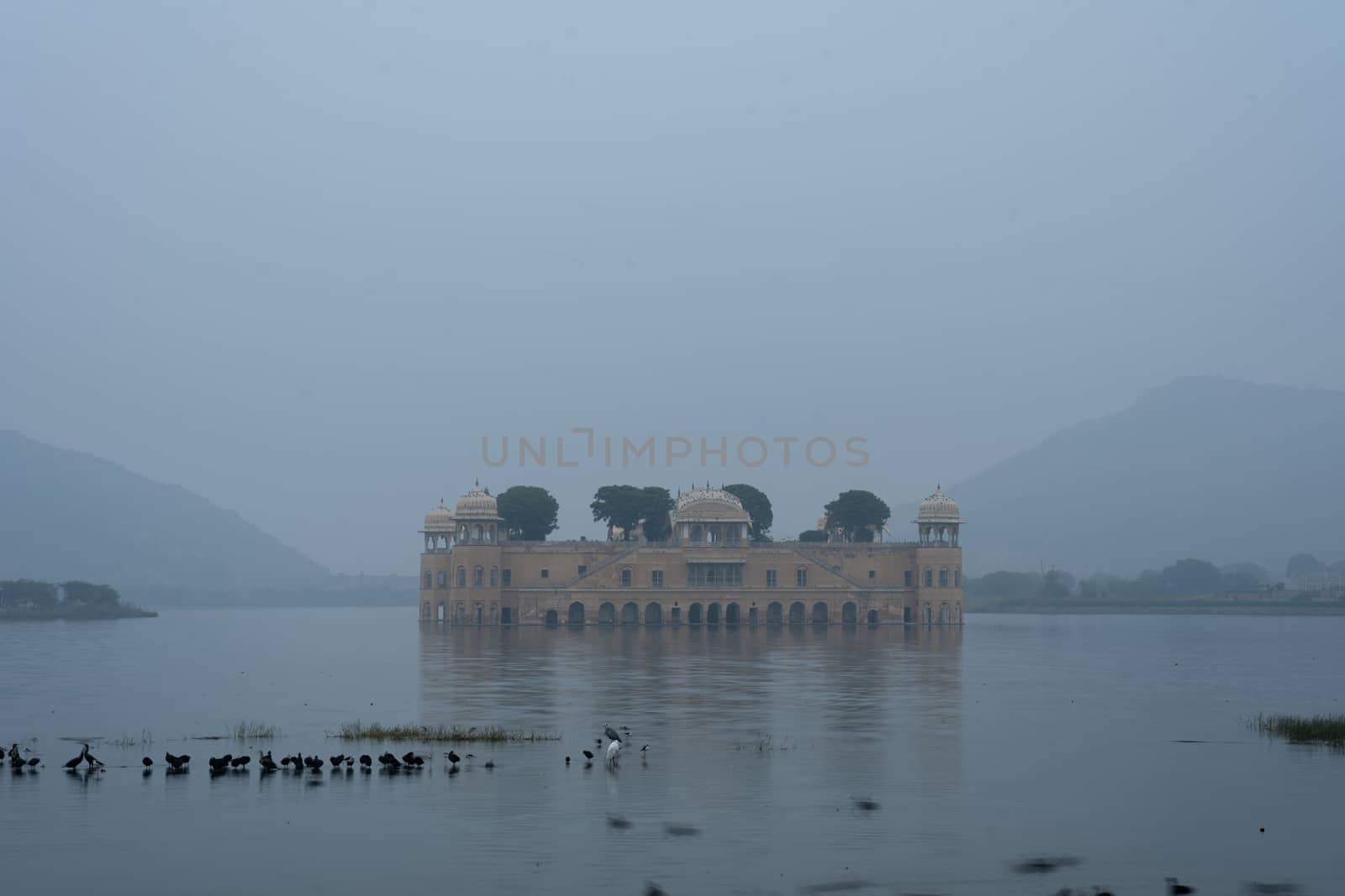 Water Palace Jal Mahal in Jaipur, India by oliverfoerstner