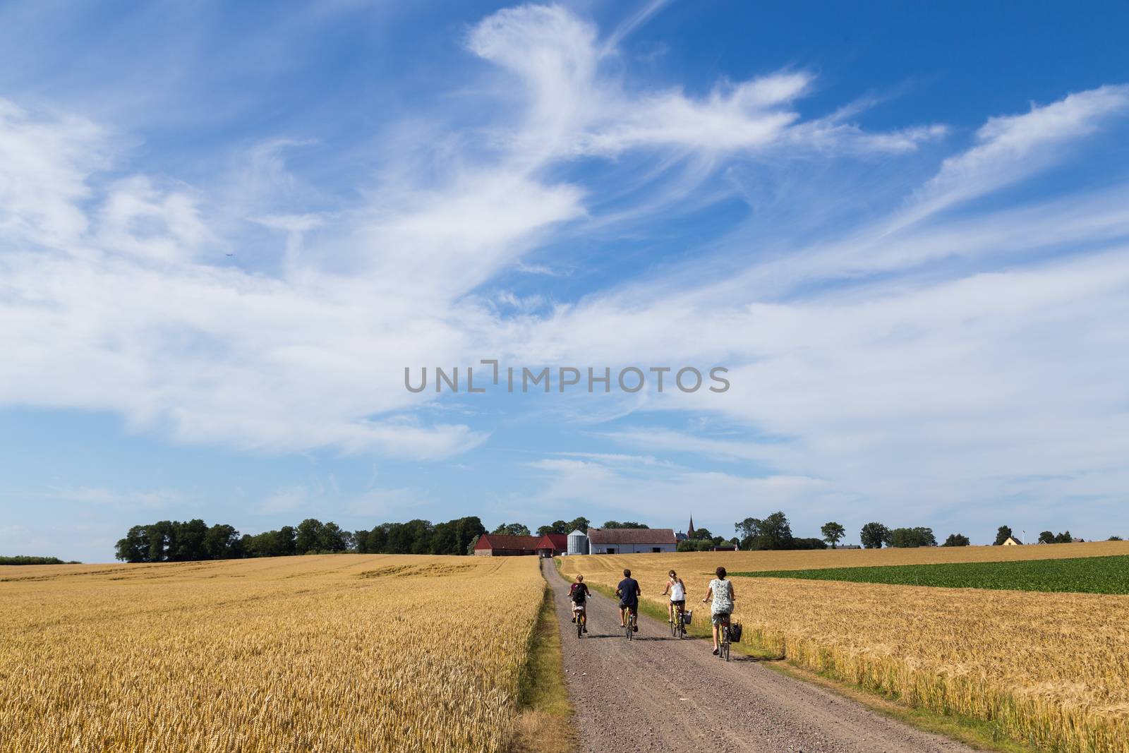 Ven, Sweden - August 06, 2015: Group of cyclist on the countryside on the swedish island Ven.