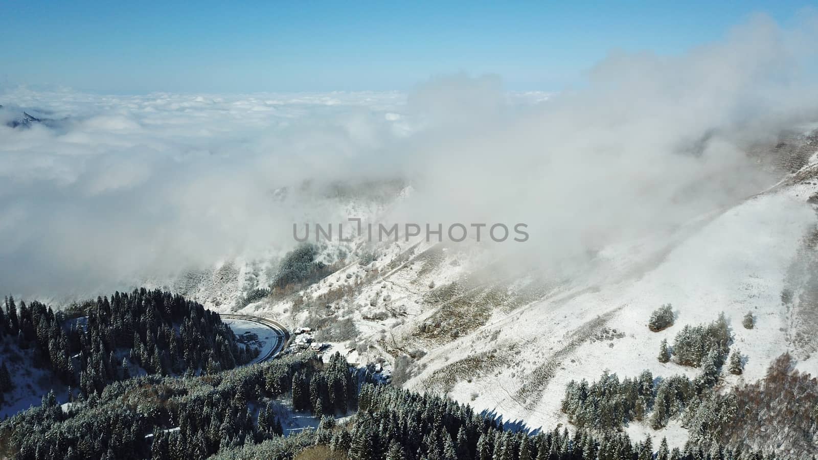 Snow forest in the mountains, above the clouds. View from above, from the drone. Coniferous trees are covered with snow. Clouds float along the gorge. Snowy hills and Sunny day. Tourists in mountains