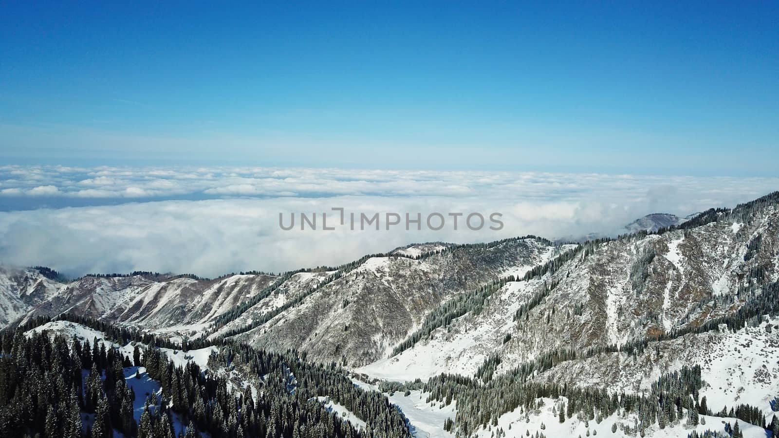 Snow forest in the mountains, above the clouds. View from above, from the drone. Coniferous trees are covered with snow. Clouds float along the gorge. Snowy hills and Sunny day. Tourists in mountains