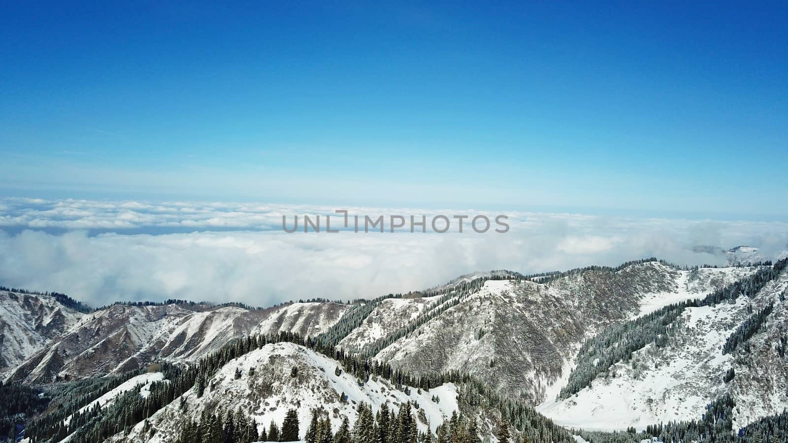 Snow forest in the mountains, above the clouds. View from above, from the drone. Coniferous trees are covered with snow. Clouds float along the gorge. Snowy hills and Sunny day. Tourists in mountains