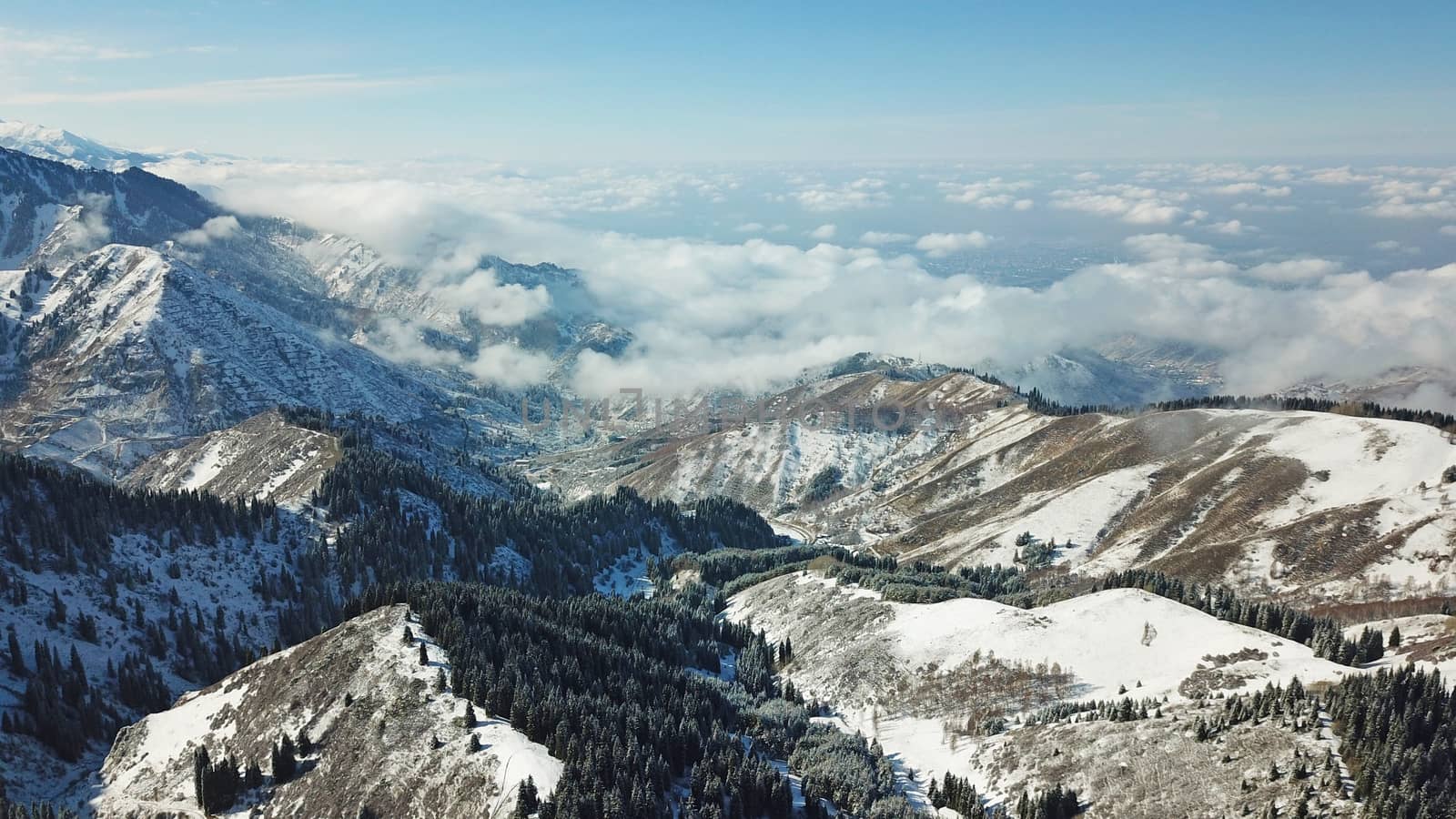 Snow forest in the mountains, above the clouds. View from above, from the drone. Coniferous trees are covered with snow. Clouds float along the gorge. Snowy hills and Sunny day. Tourists in mountains