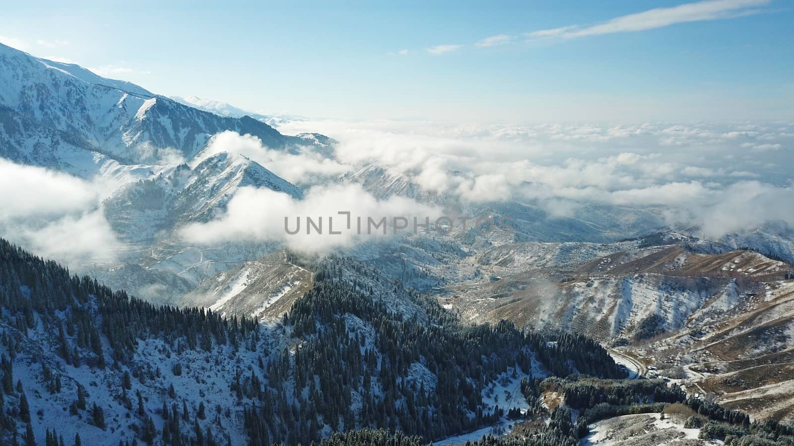 Snow forest in the mountains, above the clouds. View from above, from the drone. Coniferous trees are covered with snow. Clouds float along the gorge. Snowy hills and Sunny day. Tourists in mountains