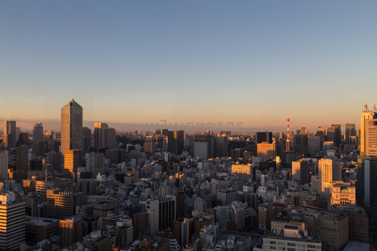 Tokyo skyline during sunset by oliverfoerstner