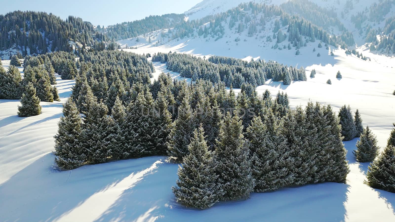 View from the height of the snowy mountains and forest. Huge clouds cover the hill in the distance. People are visible in places. Someone is running, resting, having a picnic or climbing to the top.