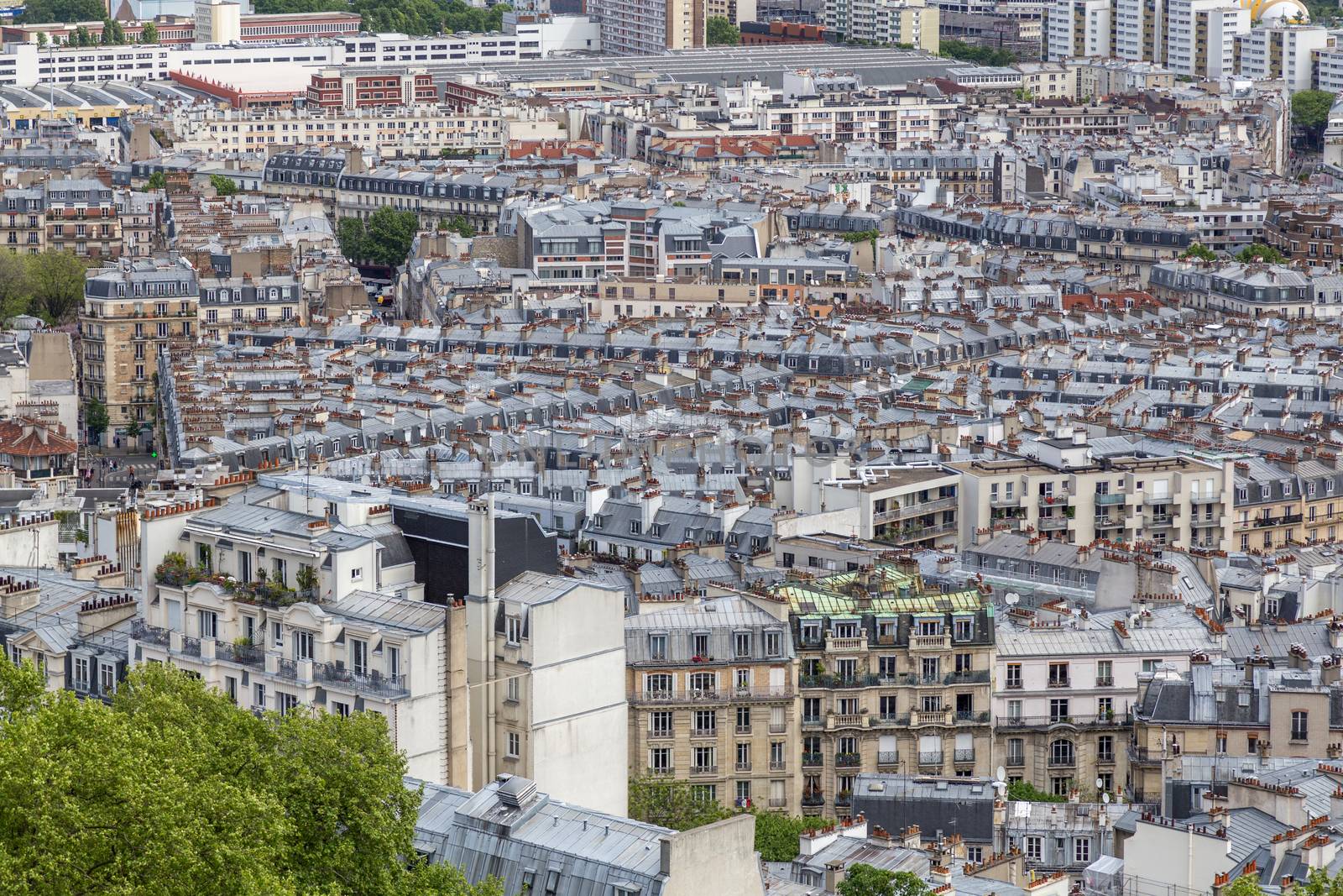 Paris Rooftop View by oliverfoerstner