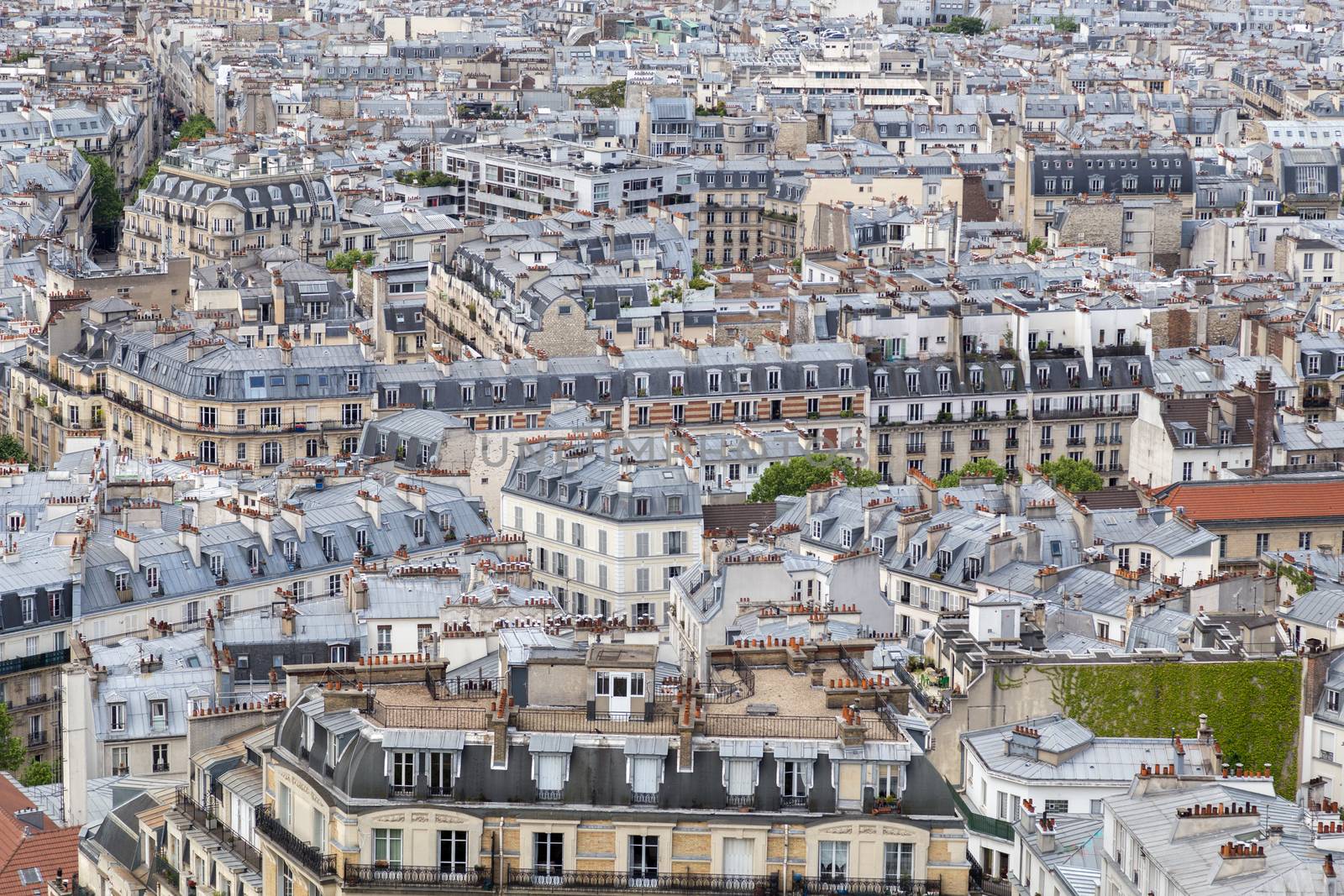 Paris Rooftop View by oliverfoerstner