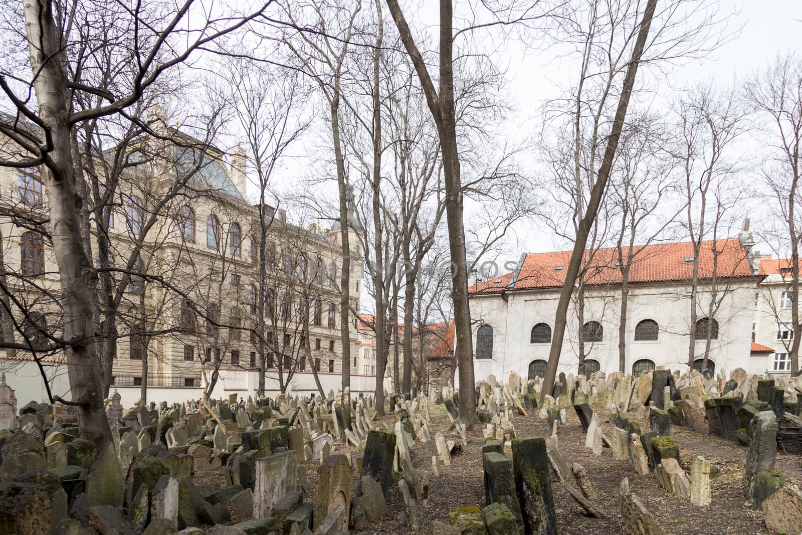Old Jewish Cemetery in Prague by oliverfoerstner