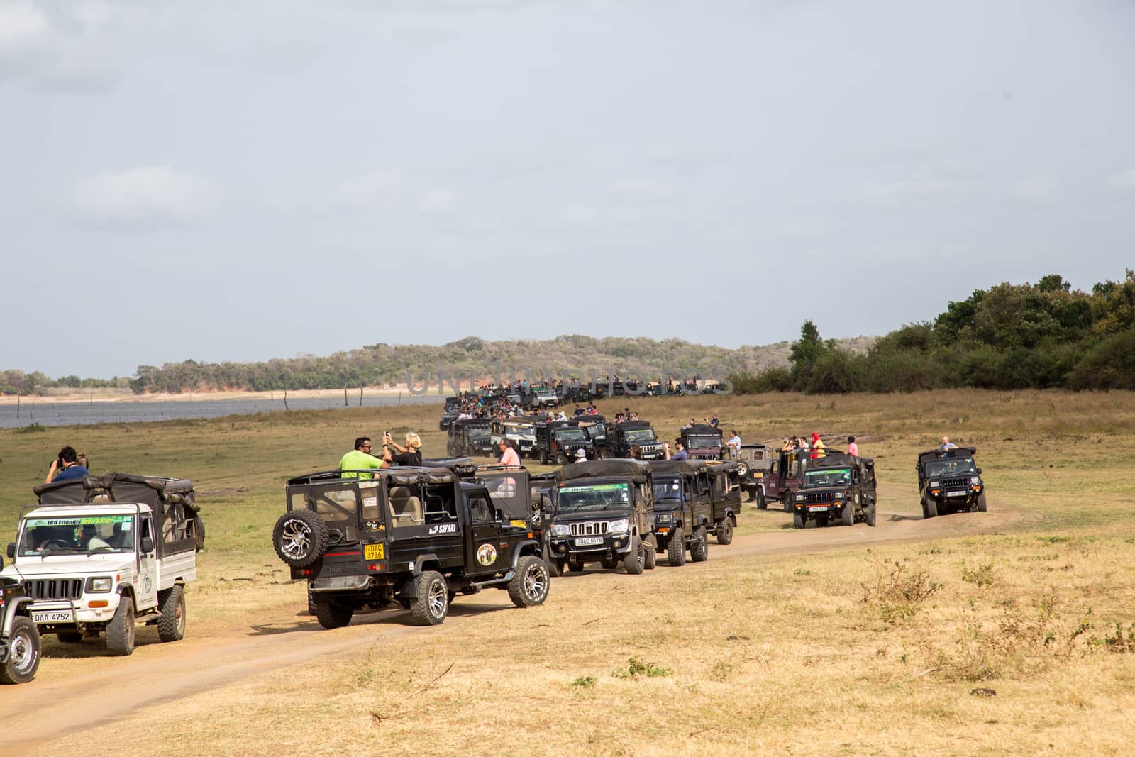 Jeeps in Kaudulla National Park, Sri Lanka by oliverfoerstner
